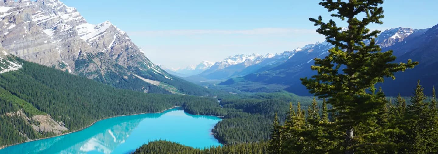 Advancing Sustainable Investment with ESG Research